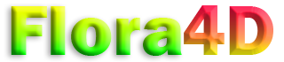 FLORA4D